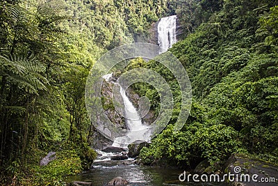 Deer Waterfall - Bocaina Range Stock Photo