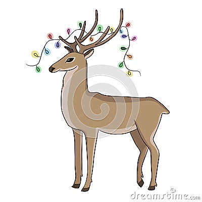 Deer Stock Photo