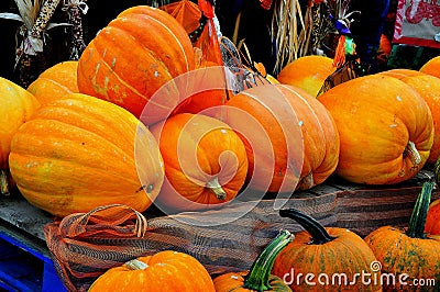 Deerfield, Massachusetts: Pumpkins at Roadside Farmstand Editorial Stock Photo