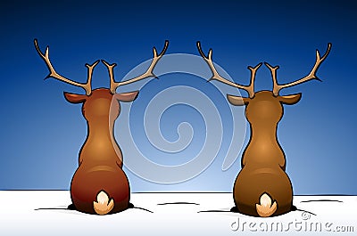 Deers Vector Illustration