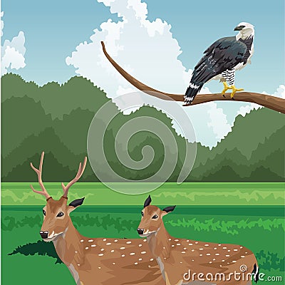 Deers and eagle on branch tropical fauna and flora landscape Vector Illustration