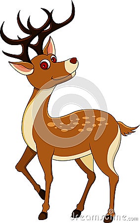 Deers isolated on white background Cartoon Illustration