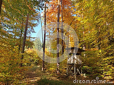 Deerstand in harmony picturesque golden autumn landscape Stock Photo