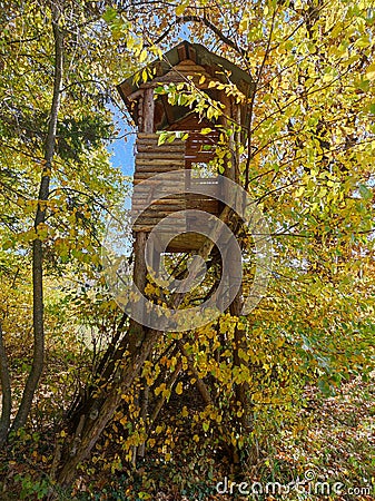 Deerstand in scenic colorful autumn leaves environment Stock Photo
