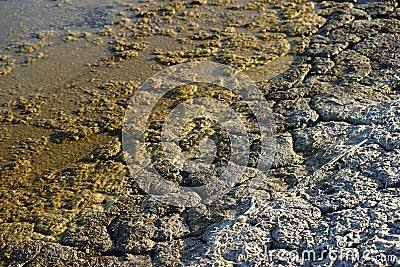 Defaulting earth at Salton Sea Stock Photo