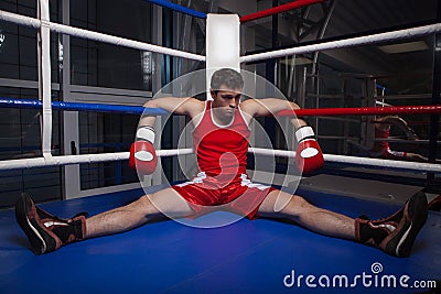 Defeated boxer. Stock Photo