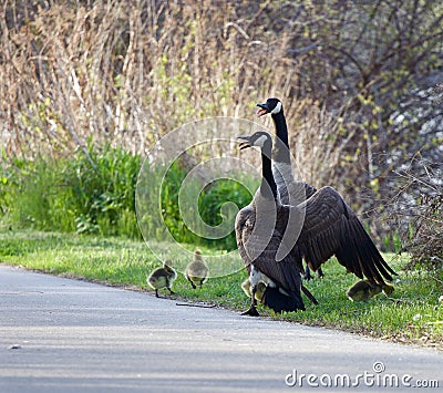 The defence of the clildren Stock Photo