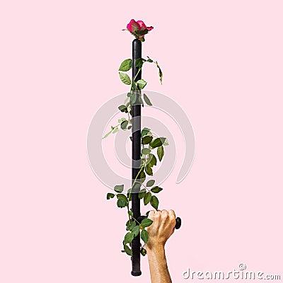 Defence and love minimal concept. Arrangement made of roughly cylindrical club made of rubber, truncheon with lovely fresh red Stock Photo