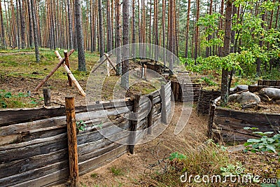 Defensive trench in forest Stock Photo