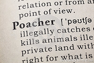 Definition of poacher Stock Photo