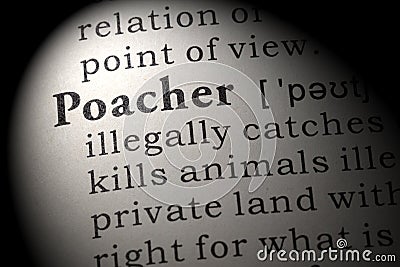 Definition of poacher Stock Photo