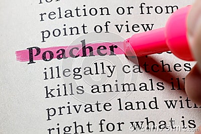 Definition of poacher Stock Photo