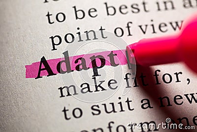 definition of the word adapt Stock Photo