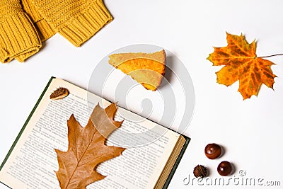 Defocus autumn flatlay. Open book with autumn leaves on it. Yellow leaves. Background. Flat lay composition with autumn Stock Photo