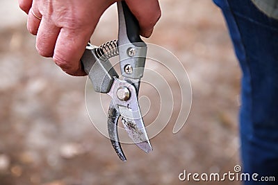 Defocus gardening scissors. Female hand holding gardening scissors closeup. Gardener with pruning shears in hand. Nature Stock Photo