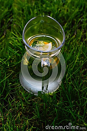 Defocus glass jug of lemonade with slice lemon and leaves of mint on natural green background. Pitcher of cool summer Stock Photo