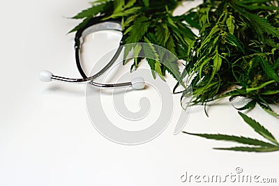 Defocus medical marijuana close up cannabis buds with doctors stethoscope on white background. Alternative medicine Stock Photo