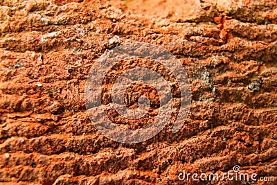Defocus red brick texture macro closeup, old detailed rough grunge texture. Red brick texture macro closeup, old Stock Photo