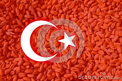 Defocus Russian-Ukrainian grain deal. Turkey flag. High grain price, wheat shortage and food crisis concept. Block ports Stock Photo