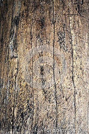 Defocused background texture of an old wood panel consisting of boards or planks for a vintage or rustic themed concept Stock Photo