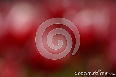 Defocused colorful abstract background. Stock Photo