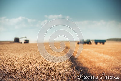 Defocused Combine harvester agriculture machine harvesting gold Stock Photo