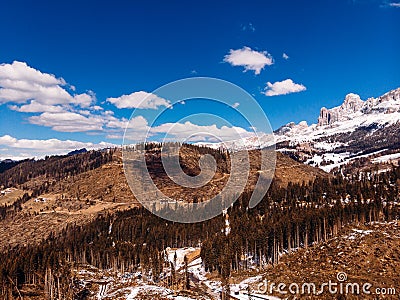 Deforestation in Alps mountains, Italy. Felled tree trunks on background of Dolomites. Aerial view Stock Photo