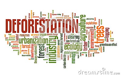 Deforestation Stock Photo