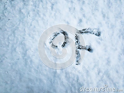 Degree Fahrenheit written in the freshly fallen snow Stock Photo