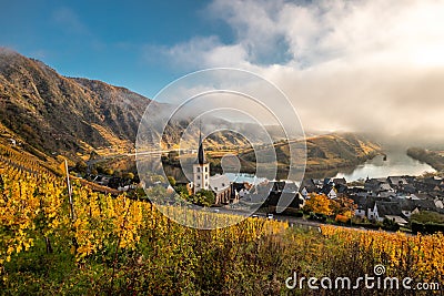 180-degree Moselle loop, vineyards, landscape and lighting in the morning, sunrise in autumn Stock Photo