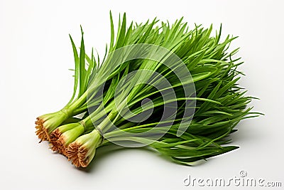 Dehydrated Chive on white background Stock Photo