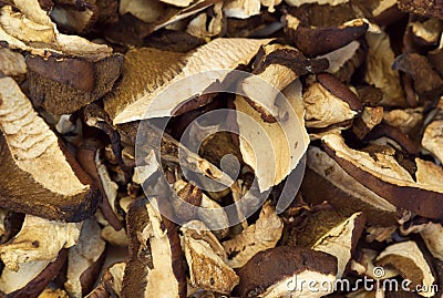 Dehydrated slices of mushrooms Stock Photo