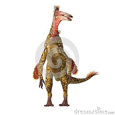 Deinocheirus Dinosaur on White Stock Photo