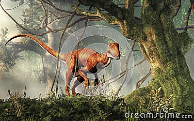 Deinonychus in a Jungle Stock Photo