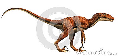 Deinonychus Stock Photo