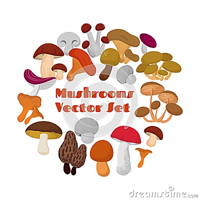 Delicacies fresh edible mushrooms vector set Vector Illustration