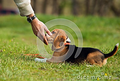 Delicacy from master hand Stock Photo