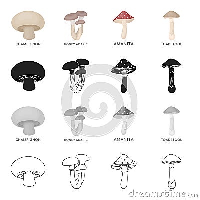 Delicacy, nature, ecology and other web icon in cartoon style. Forest, food, seasoning, icons in set collection. Vector Illustration