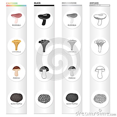 Delicacy, nature, ecology and other web icon in cartoon style. Forest, food, seasoning, icons in set collection. Vector Illustration