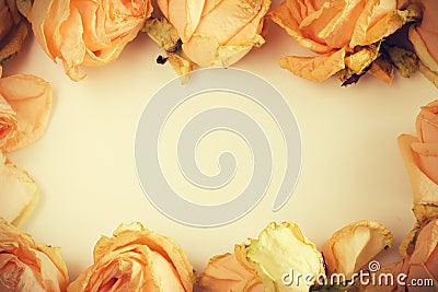 Delicate background with faded roses in vintage style Stock Photo