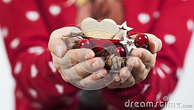 Delicate beautiful hands of a girl hold bright tasty sweet Christmas cookies Stock Photo