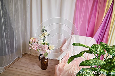Delicate bright pink interior of the room with armchair, a vase with roses, draped curtains and a window. Location and Stock Photo