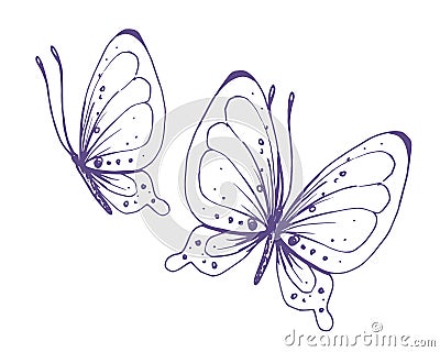 Delicate butterflies with patterns on the wings, simple, sweet, light, romantic. Illustration graphically hand-drawn in Stock Photo