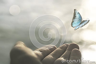 A delicate butterfly flies away from a woman`s hand Stock Photo