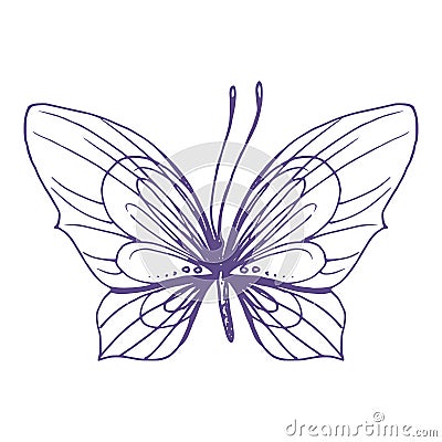 Delicate butterfly with patterns on the wings, simple, sweet, light, romantic. Illustration graphically hand-drawn in Stock Photo