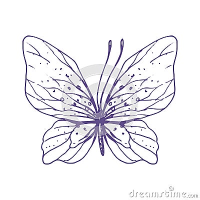 Delicate butterfly with patterns on the wings, simple, sweet, light, romantic. Illustration graphically hand-drawn in Vector Illustration