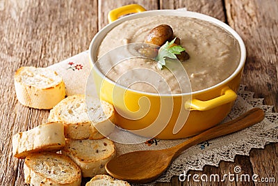 Delicate chestnut soup close-up in a saucepan and croutons. horizontal Stock Photo