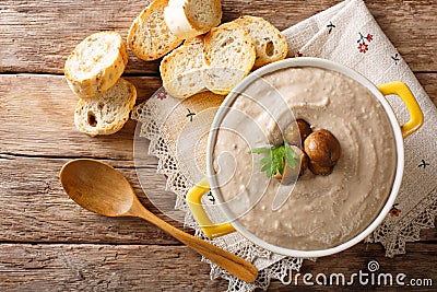 Delicate chestnut soup close-up in a saucepan and croutons. horizontal top view Stock Photo