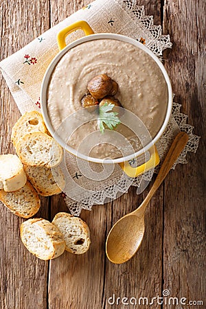 Delicate chestnut soup close-up in a saucepan and croutons. Vert Stock Photo