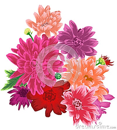 Delicate Chrysanthemum flower bouquet isolated. Vector Illustration